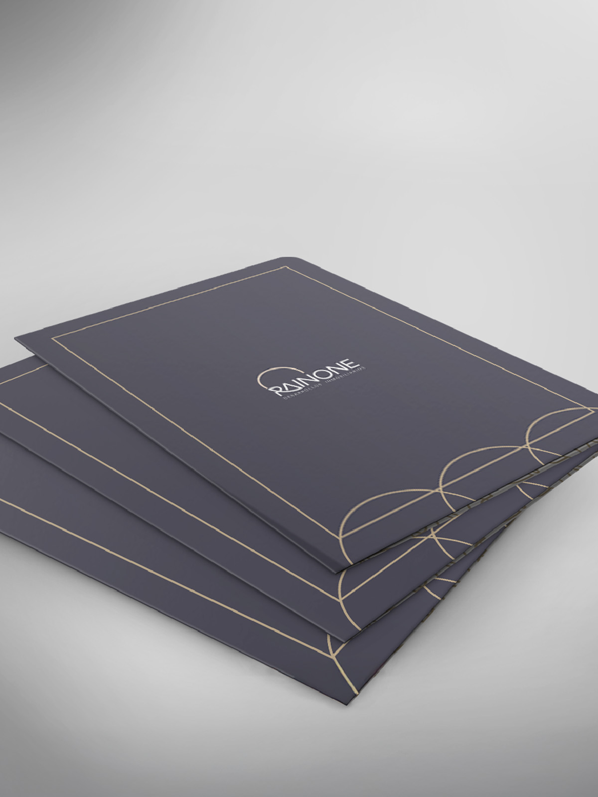 Rainone - BRANDING / INTERACTIVE / OTHER SERVICES / SOCIAL MEDIA - Aguaviva - We left Brands